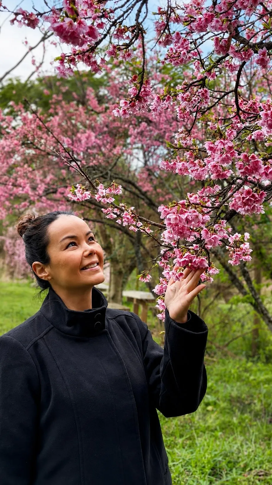 Bruna olhando para os galhos de uma cerejeira em flor
